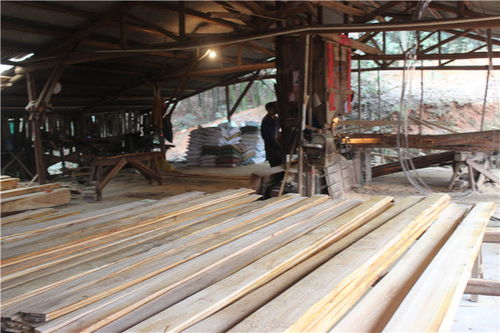 建筑木方 建筑木方定制報(bào)價(jià) 匯鴻木材加工 推薦商家