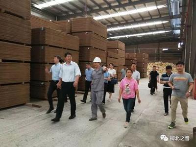 環保整改問題“不反彈”不怕“回頭看”,郝興國說,石碑坪鎮工業園區要這樣做!