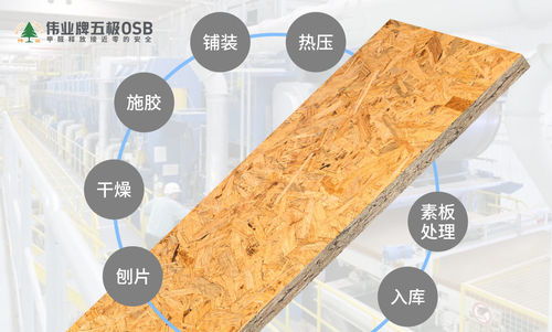 2021最環保的人造板 偉業牌五極osb