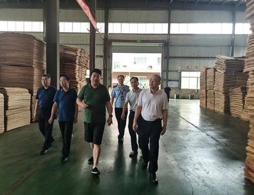 廣西市場監管局開展崇左人造板產品生產許可證申辦工作調研指導