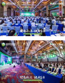 2018中國無醛人造板高峰論壇 無醛人造板及其制品 行業標準發布